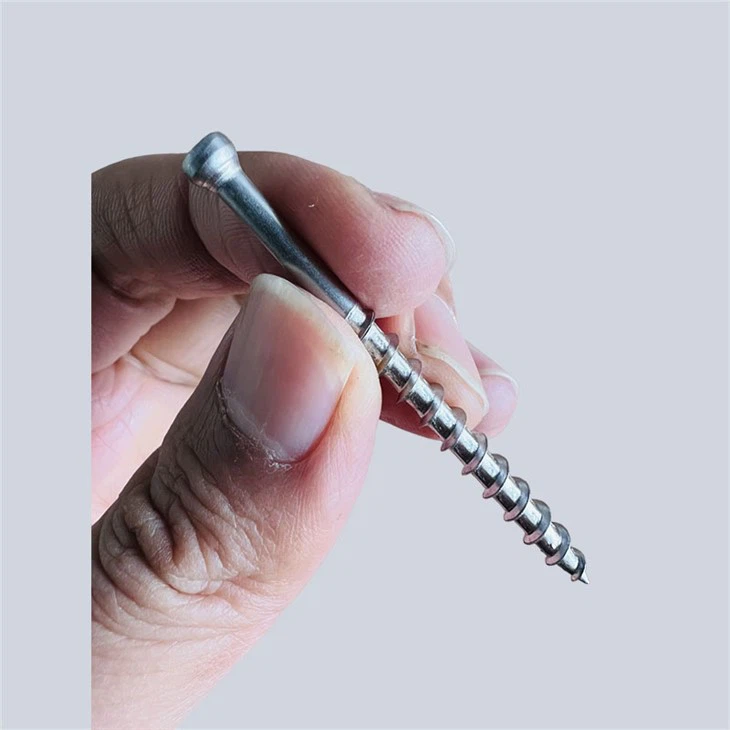 SS DECK SCREW WITH TORX DRIVE AND ROUND SMALL HEAD