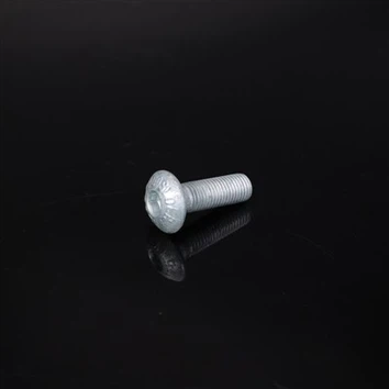 رأس مستدير مع Hex Socket Drive Guard Rail Bolt ، HDG